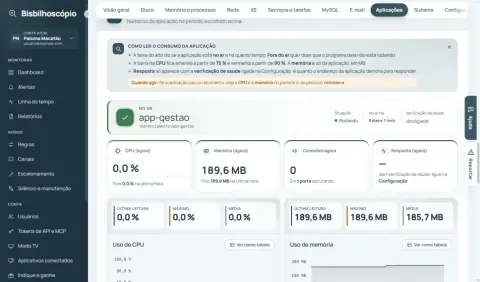 Detalhe de uma aplicação no ar com CPU, memória, conexões e resposta.