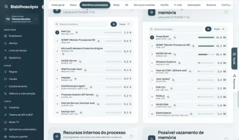 Listas dos dez processos que mais usam CPU e memória, com nome amigável e executável.